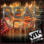 Real Noize (Sample Pack WAV/APPLE)