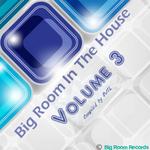 Big Room In The House Volume 3 (Compiled By DJTL)