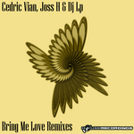 Bring Me Love Remixes Vol 2