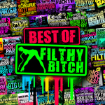 The Best Of Filthy Bitch