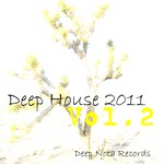 Deep House 2011 Vol 2