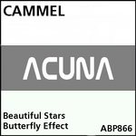 Beautiful Stars EP