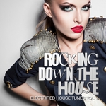 Rocking Down The House: Electrified House Tunes Vol 5