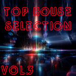 Top House Selection Vol 3