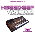 Mysterious (Knee Deep Remixed Vol 1)