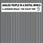 A Japanese Whale The Violet Trip