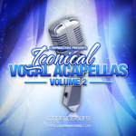 Iconical Vocal Acapellas Vol 2 (Sample Pack WAV/APPLE)