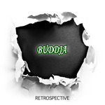 Buddja - Retrospective