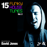 15 Funky House Tunes Vol 2 - Selected By David Jones