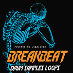 Breakbeat Drum Loops (Sample Pack WAV/REX)