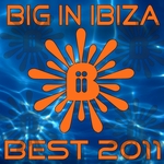 Big In Ibiza: Best Of 2011