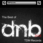 Best Of Drum & Bass 2012: TDM Records