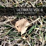 Ultimate Vol 5