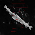 ACKERCD003_The Micronaut_Friedfisch LP