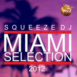 Squeeze DJ Presents Miami Selection 2012