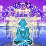 Goa Trance Missions V 48 (Best Of Psy Techno Hard Dance Progressive Tech House Anthems)