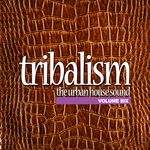 Tribalism Vol 6: The Urban House Sound
