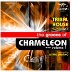 The Groove Of Chameleon: Vol 1 (A Tribal House Experience, Selected By Ritmo Urbano)