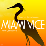 Miami Vice Vol 1