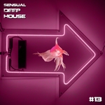 Sensual Deep House #13