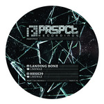 Landing Bone/Hess29