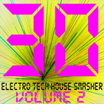 30 Electro Tech House Smasher Vol 2