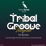 Tribal Groove (The Remixes)