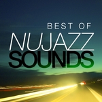 Best Of Nu Jazz Sounds