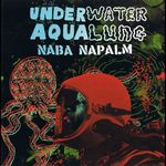 Underwater Aqualung