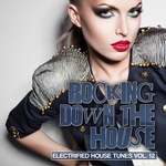 Rocking Down The House: Electrified House Tunes Vol 12