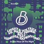 Heat Of The Night (remixes)