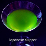 Japanese Slipper