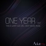 One Year Vol 1 (This Is What We Call Deep House Music)
