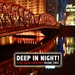 Deep In The Night! Vol 3 A Jazz House Experience