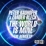 The World Is Mine (The remix EP)