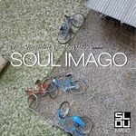 Pablo Valentino & Blunted Monkz Presents Soul Imago Vol 1