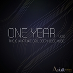 One Year Vol 2: This Is What We Call Deep House Music