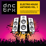 Electro House Anthems Vol 1