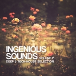 Ingenious Sounds Vol 2