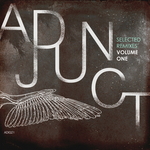 Selected Remixes Volume One (unmixed tracks)