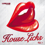 House Licks Vol 1