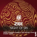 Night Of Sin (remixes)