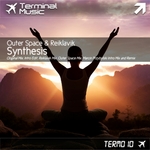 Synthesis (remixes)