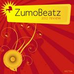 ZumoBeatz: 2012 Review