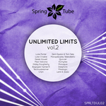 Unlimited Limits Vol 2