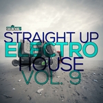 Straight Up Electro House Vol 9