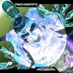 Psychosomatic: Best Of Goa Progressive Psy Fullon Psy Psychedelic Trance