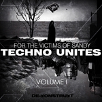 Techno Unites: Victims Of Sandy Volume I