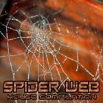 Spider Web: House Compilation