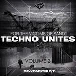 Techno Unites: Victims Of Sandy Volume II